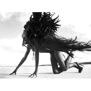 Bilde Lioness - Artwood